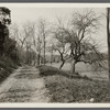 View of Fairview Road. Leading north from Melville Presbyterian church. M. Peters house (1873) in distance. West Hills, Huntington