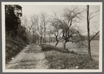 View of Fairview Road. Leading north from Melville Presbyterian church. M. Peters house (1873) in distance. West Hills, Huntington