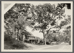 G. Nostrand farmhouse. North side Jericho Turnpike. South Huntington, Huntington