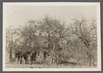 J. Rowe house (1873). On road leading west to J. Chichester house, south of I. White house. West Hills, Huntington