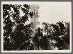 View of Grangebel Park. Riverhead