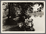 View of Grangebel Park. Riverhead