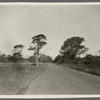 View of road to North Sea. South of Wm. T. Haynes house. North Sea, Southampton