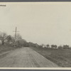 View of North side Cobb Road. In bend of road leading north ( i .e. North Cobb Road). Cobb, Southampton