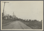 View of North side Cobb Road. In bend of road leading north ( i .e. North Cobb Road). Cobb, Southampton