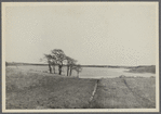 View of Kellis Pond. South of Montauk Highway, west of D. Cornish house, southwest of Abraham Halsey house. Bridgehampton, Southampton