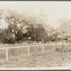 Chas. T. Ludlow house. North side Sagaponack Road, midway between Ocean Road and Sagg Main Street. Bridgehampton, Southampton