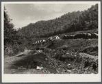 Coal miners' homes on slate and slag heaps. Capels, West Virginia