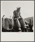 Farmer's son who helps make the molasses from sugarcane. Racine, West Virginia