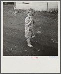 Coal miner's child. Scotts Run, West Virginia