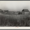 Farmland and tobacco barns purchased for rehabilitation client near Raleigh, North Carolina