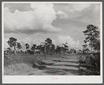 Typical Florida road and country near Winter Haven