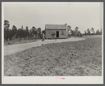 Clean and well-kept Negro shack near Columbia, South Carolina (Monticello Road)