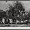 Negro shack near Beaufort, South Carolina. Negro living there is a bricklayer