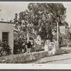 A tourist "attraction." Aztec wishing well and "sausage" tree near Homestead, Florida