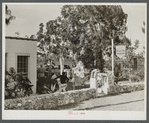 A tourist "attraction." Aztec wishing well and "sausage" tree near Homestead, Florida