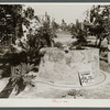 A tourist "attraction." Aztec wishing well and "sausage" tree near Homestead, Florida