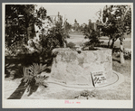 A tourist "attraction." Aztec wishing well and "sausage" tree near Homestead, Florida