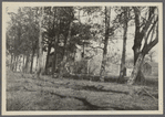 D. Corwith house. South side Montauk Highway, east of (Kellis) Pond, just east of Abraham Halsey house. Bridgehampton, Southampton