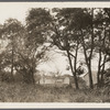 Willets house. Hempstead Ave., just outside western village limits. (Sketch showing location on back of photo.) Hempstead, Hempstead