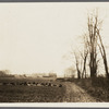 View of farm. Near Rockaway Road. Valley Stream, Hempstead