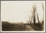 View of farm. Near Rockaway Road. Valley Stream, Hempstead