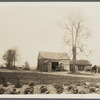 Old barn on farm. Near Rockaway Road. Valley Stream, Hempstead