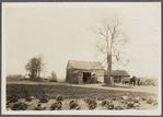 Old barn on farm. Near Rockaway Road. Valley Stream, Hempstead