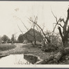 Starkins place. West side Jerusalem Ave. and Cedar Swamp Road. Jericho, Oyster Bay
