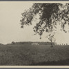 View showing big house in the distance. On the road from Roslyn to Brookville. Greenvale, Oyster Bay