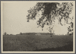 View showing big house in the distance. On the road from Roslyn to Brookville. Greenvale, Oyster Bay