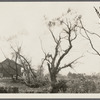 Starkins place. West side Jerusalem Ave. and Cedar Swamp Road. Jericho, Oyster Bay