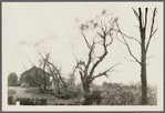Starkins place. West side Jerusalem Ave. and Cedar Swamp Road. Jericho, Oyster Bay