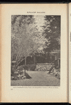 Bungalow magazine