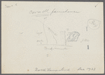 Cornell farmhouse. North side Marcus Ave., north of E.C. Everett farmhouse. (Sketch of location on back of photo.) New Hyde Park, North Hempstead