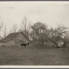Barn of E. Brush farmhouse. East side road to Hauppauge, south of Main Street. Smithtown Branch, Smithtown