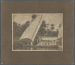 Ronald Firbank on a houseboat in Egypt with others