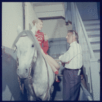 La Plume de Ma Tante, original Broadway production, cast posing with horse