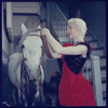 La Plume de Ma Tante, original Broadway production, cast posing with horse