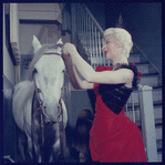 La Plume de Ma Tante, original Broadway production, cast posing with horse