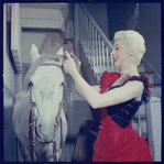 La Plume de Ma Tante, original Broadway production, cast posing with horse