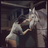 La Plume de Ma Tante, original Broadway production, cast posing with horse