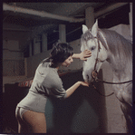 La Plume de Ma Tante, original Broadway production, cast posing with horse