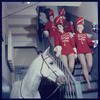 La Plume de Ma Tante, original Broadway production, cast posing with horse
