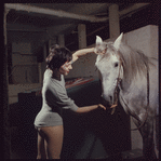 La Plume de Ma Tante, original Broadway production, cast posing with horse