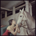 La Plume de Ma Tante, original Broadway production, cast posing with horse