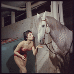 La Plume de Ma Tante, original Broadway production, cast posing with horse