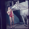 La Plume de Ma Tante, original Broadway production, cast posing with horse