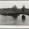 Logs on river barge near sawmill. Ashepoo, South Carolina