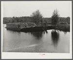 Logs on river barge near sawmill. Ashepoo, South Carolina